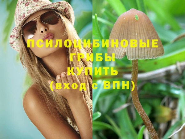 бошки Алексин